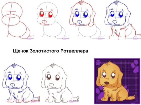 Как рисовать щенка