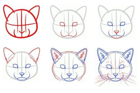 Поэтапность рисунка Снегирь