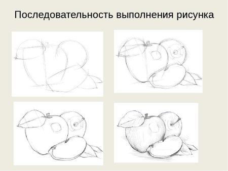 Как нарисовать сову карандашом поэтапно