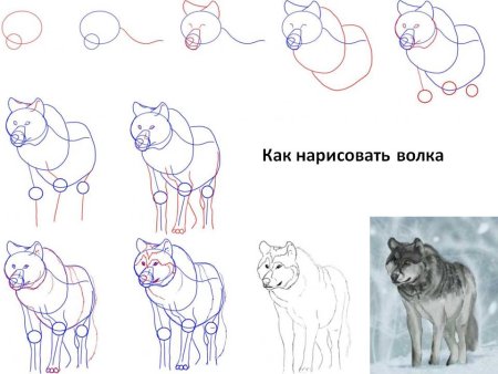 Уроки рисования для детей лицо человека