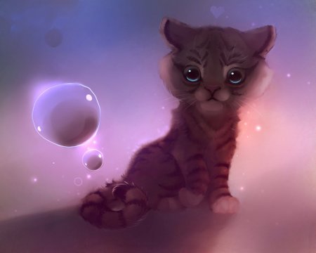 Кот арт