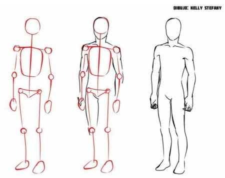 Тело человека для рисования