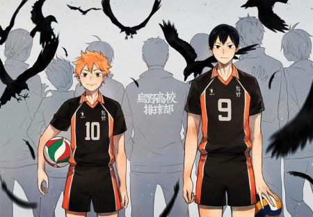 Аниме Карасуно Хината