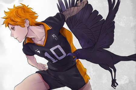 Haikyuu Карасуно вороны