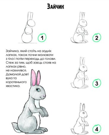 Кролик набросок