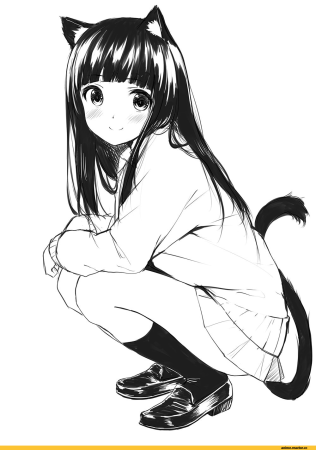 Черно белая тян