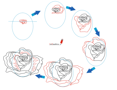 Как научить ребенка рисовать розу