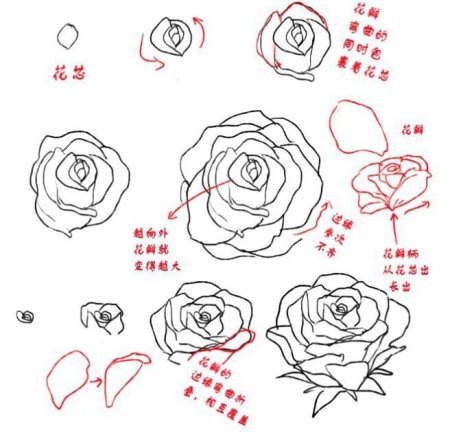 Схемы рисования цветов для детей