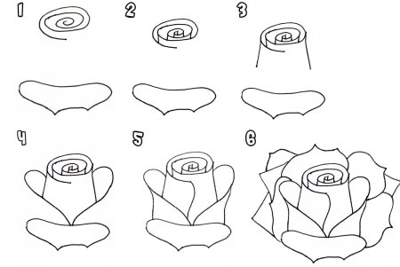 Рисование розы в подготовительной группе