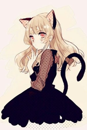 Кошка девочка