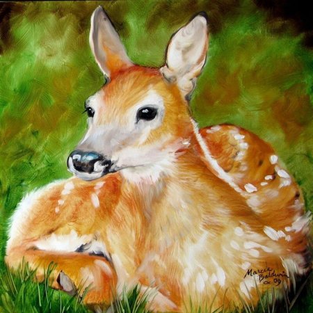 Рисунки на животе