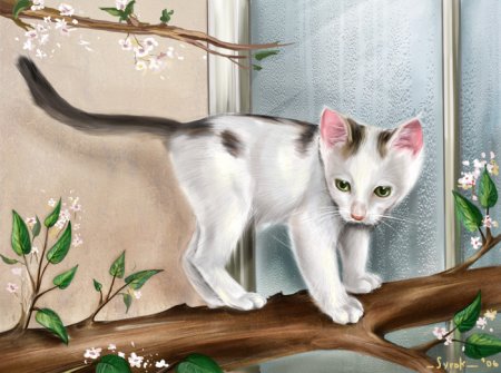 Красивый кот рисунок