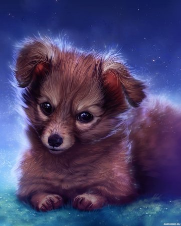 Арты животных