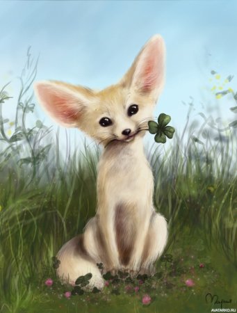 Фенек палитра