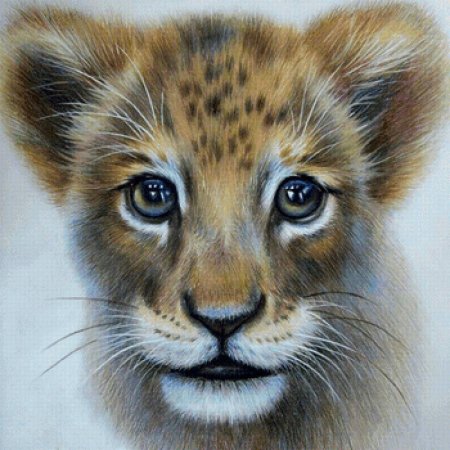 Животные рисунки