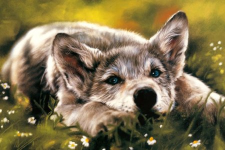 Lesley Harrison художник