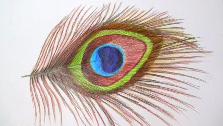 Рисование цветными карандашами