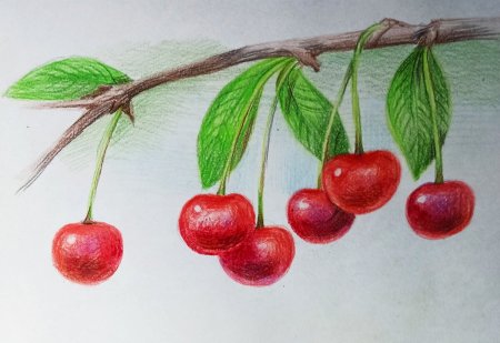 Живопись цветными карандашами