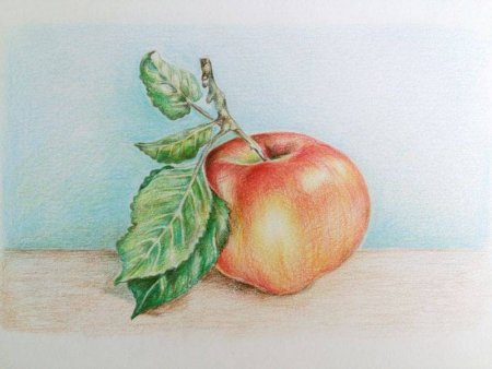 Рисование фруктов цветными карандашами