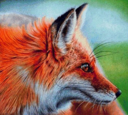 Самуэль Сильва художник лисы