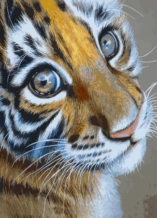 Картина по номерам Тигренок
