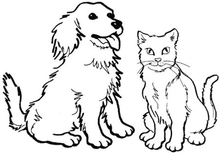 Кошки и собаки. Раскраска