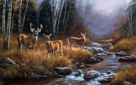 Художник дикой природы Розмари Миллетт