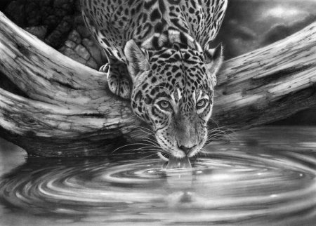 Графические рисунки реалистичные