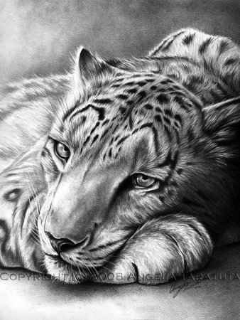 Картины карандашом