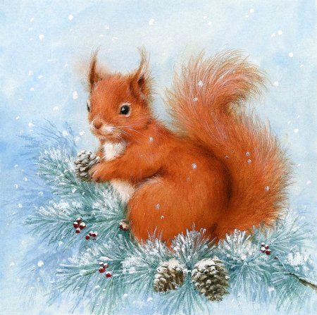 Белочка рисунок