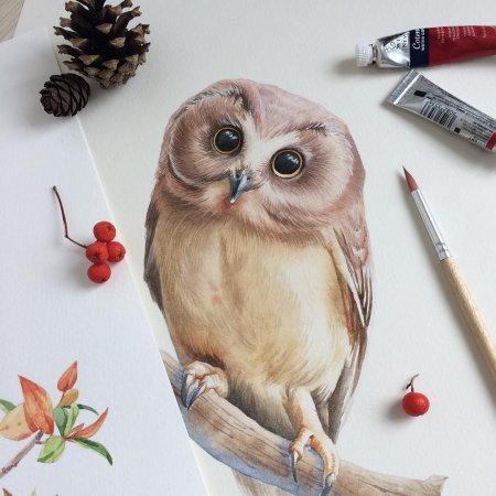 Сова акварелью