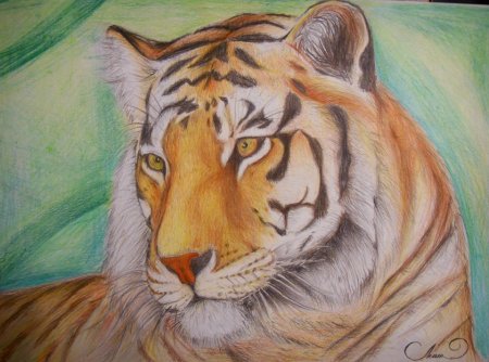 Кэти Липскомб (Katy Lipscomb) рисунки