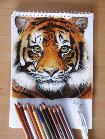 Юки КУДО художница