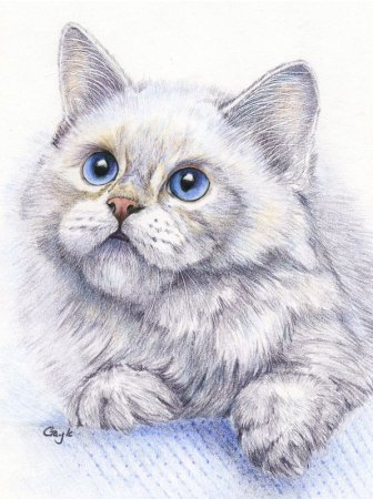 Животные пастельными карандашами