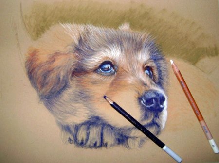 Скетчи маркерами животные