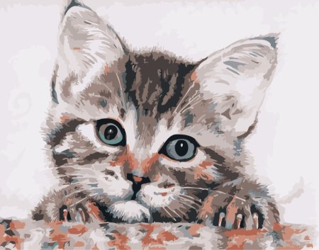 Котенок цветными карандашами