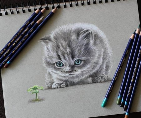 Кот маркерами