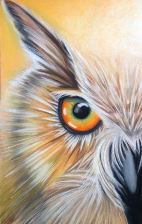 Рисунки пастелью