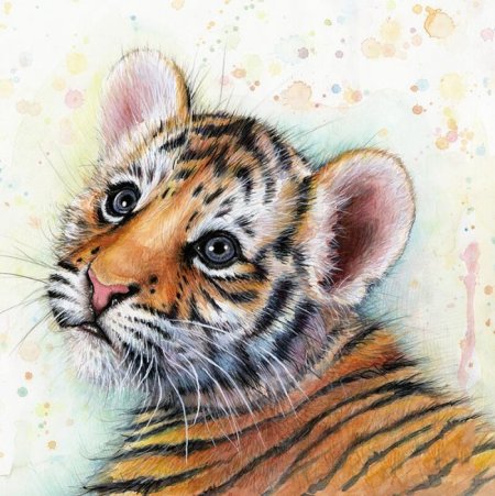 Алиса вышивка Тигренок