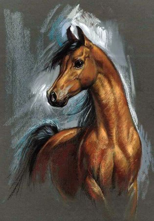 Zorina Baldescu кони