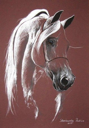 Портрет лошади пастель