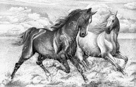 Лошадь рисунок цветной