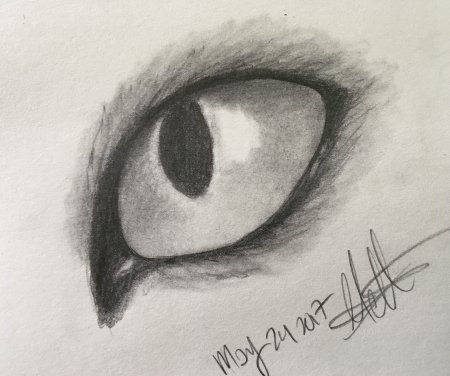 Кошачий глаз рисунок карандашом