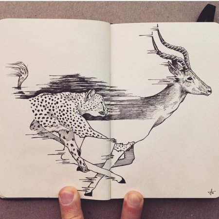 Рисование в скетчбуке животных