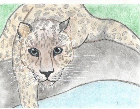 Животные красной книги рисунки