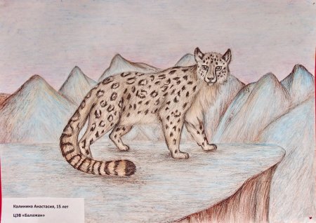 Мцыри и Рысь