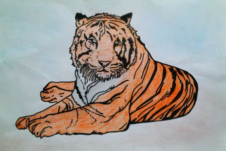 Рисунки тигров