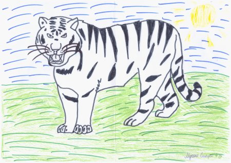 Красная пандараскарасска