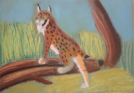 Животные из красной книги