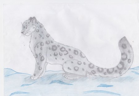 Снежный Барс Ирбис